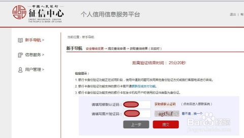 中国人民银行征信中心查询个人信用信息服务平台