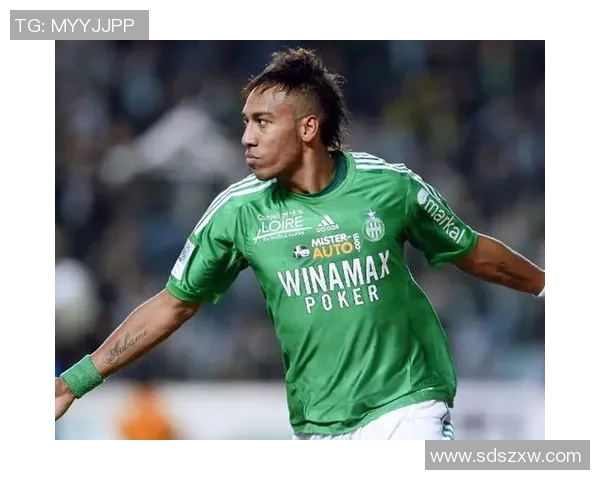 非洲加蓬足球明星的崛起与影响力分析及排名探讨